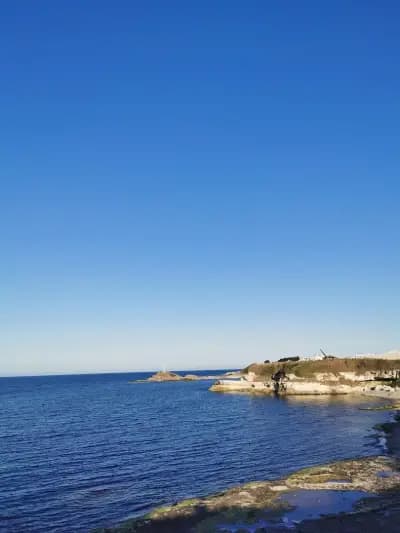Къща за Гости Морските Лъвове