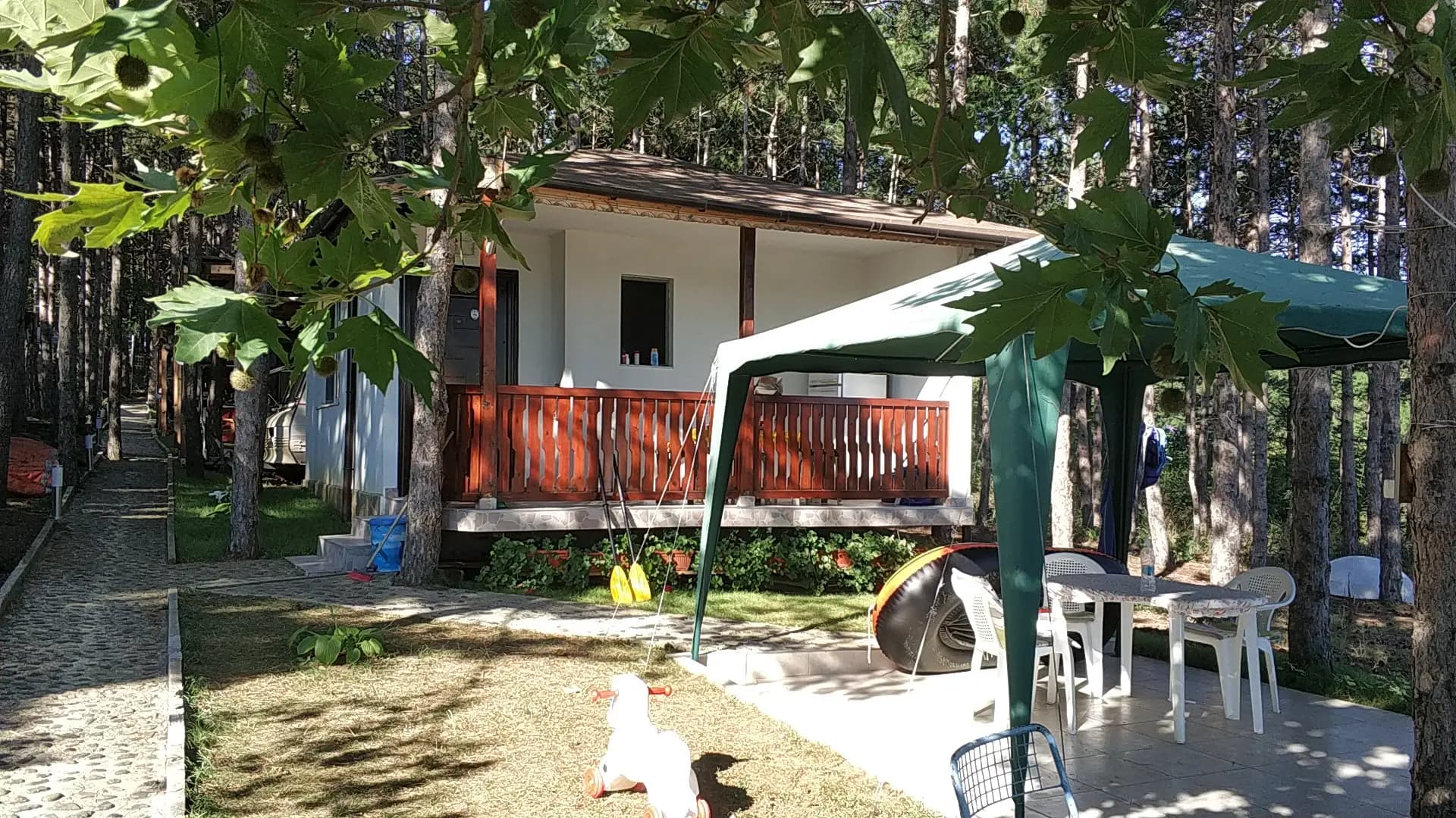 Бора