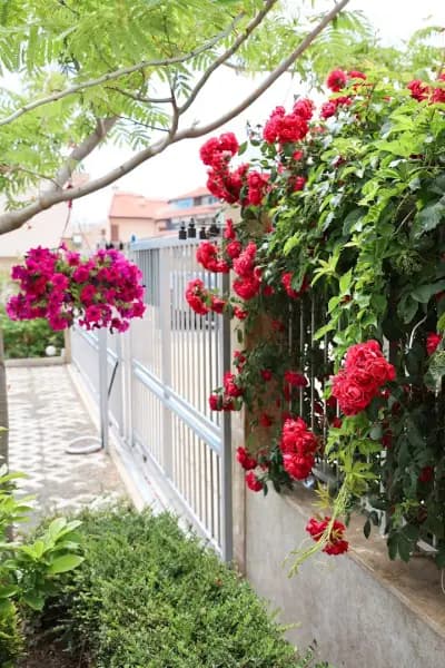 Villa Flora