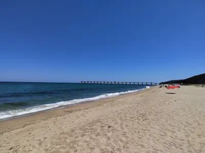 Бунгала Русалка