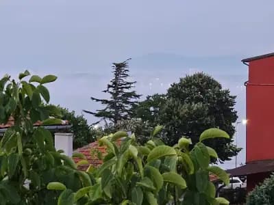 Къща за Гости Светла
