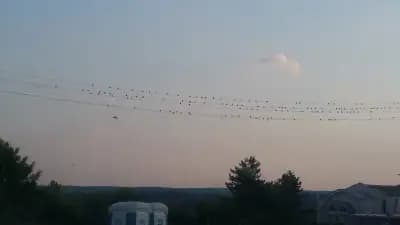 Къща За Гости При Вальо