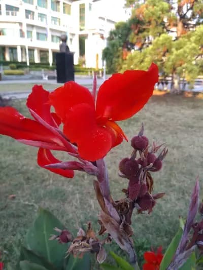 Къща За Гости При Вальо