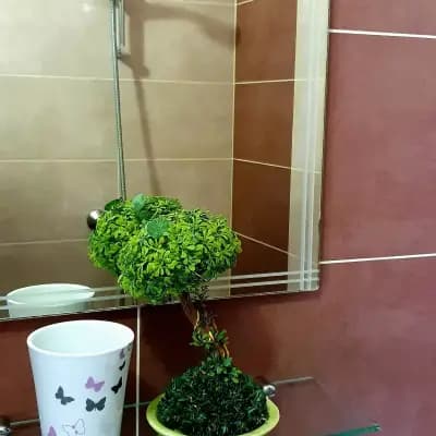 Къща за Гости Натали