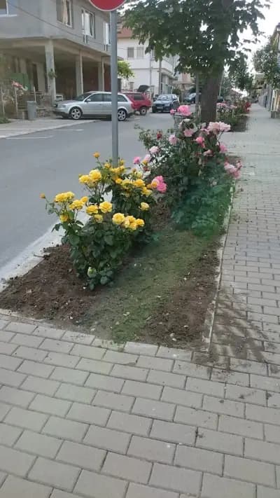 Къща за гости "Милеви"
