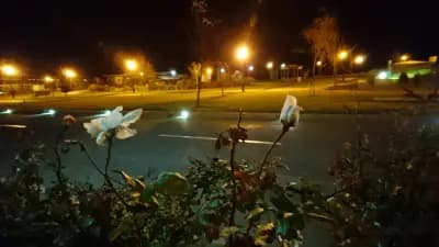 villa-reny Obzor Bulgaria