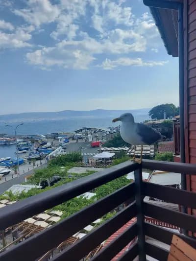 Panorama Blue Family Hotel - Free Parking