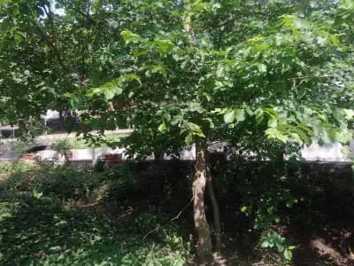 Lurd Family Hotel