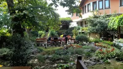 Феста - Кранево