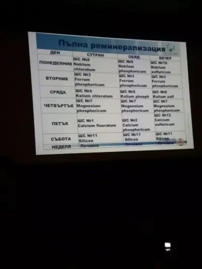 Хотел Весо