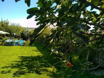 Guesthouse Savich Къща за гости Савич