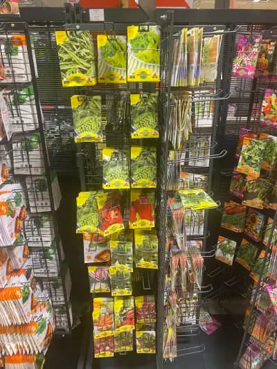 Kaufland Петрич