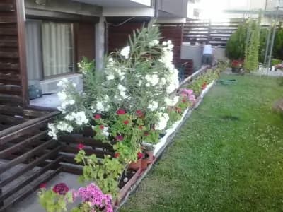 Apartments in Sunny Hill 3 Guest House