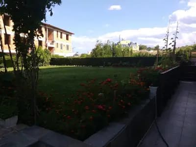 Apartments in Sunny Hill 3 Guest House