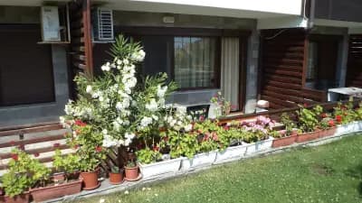 Apartments in Sunny Hill 3 Guest House