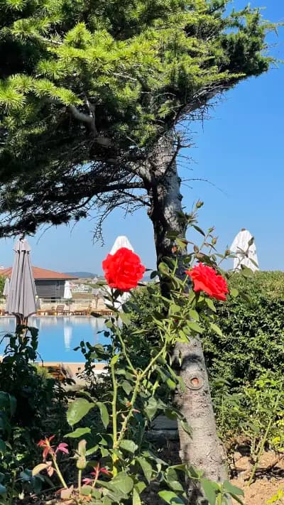 Sozopolis Holiday Village