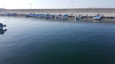 Лост Сити
