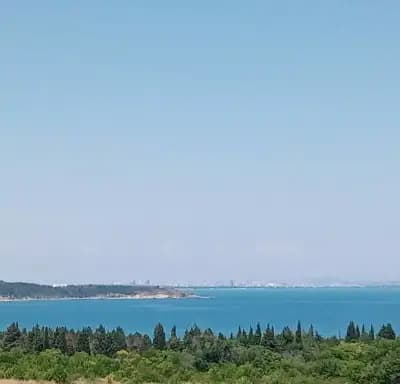 Вила Михневи