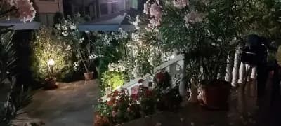 Карастоянови