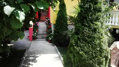 Карастоянови
