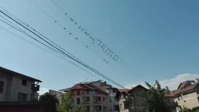 Къща за гости Лилия