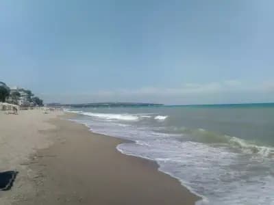 Bisser Obzor