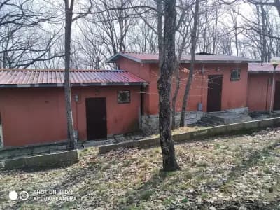 Бунгала Дъбрава
