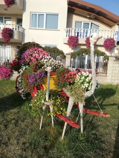 Guest House D. Bogdanova