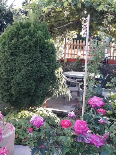 Къща за гости Захариери / Guest House Zaharievi