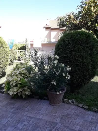 Къща за гости Захариери / Guest House Zaharievi