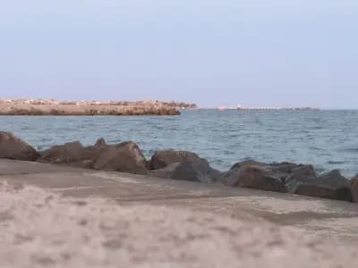 Guest House Taligarov
