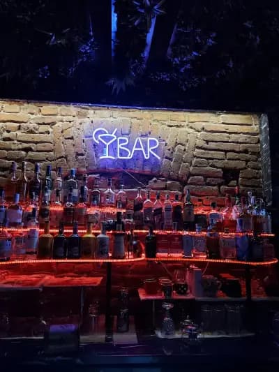 22 Cocktails