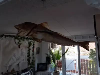 Крайбрежна Къща за Гости