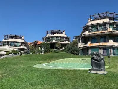 Art Complex Anel