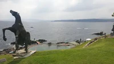 Art Complex Anel