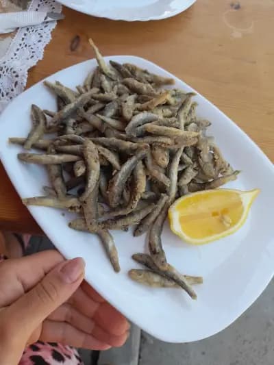 Комплекс Златното Пиле