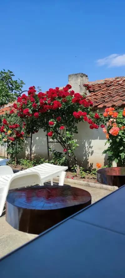 Guest House Palazzo
