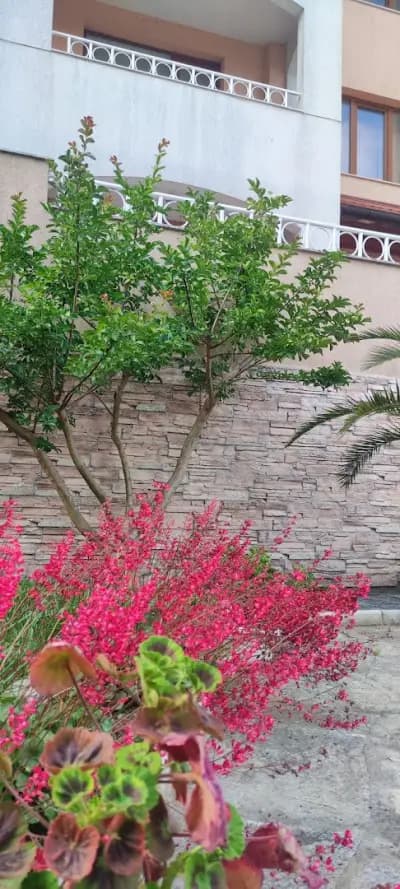 Guest House Palazzo