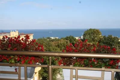 Joya Park Hotel