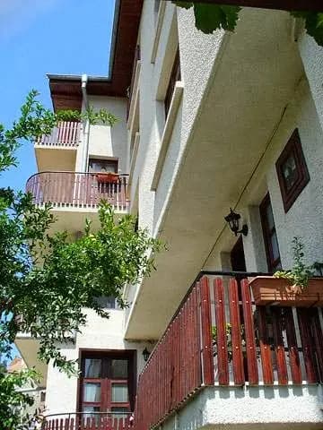 Вила Роси