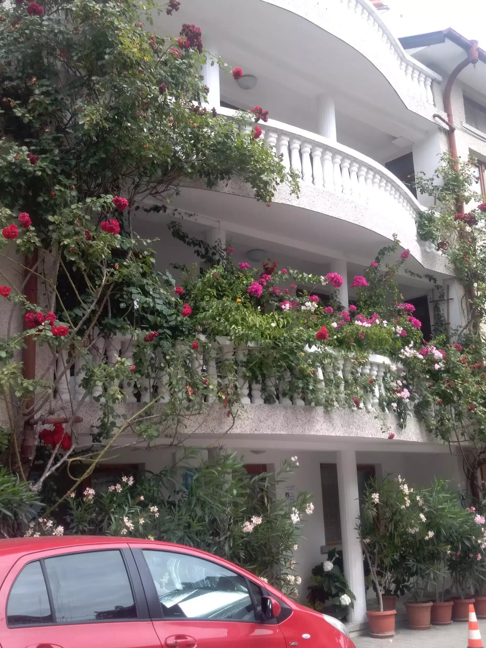 Guest House Oasis