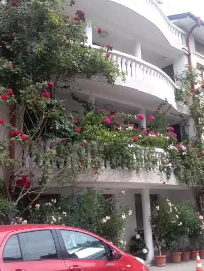 Guest House Oasis