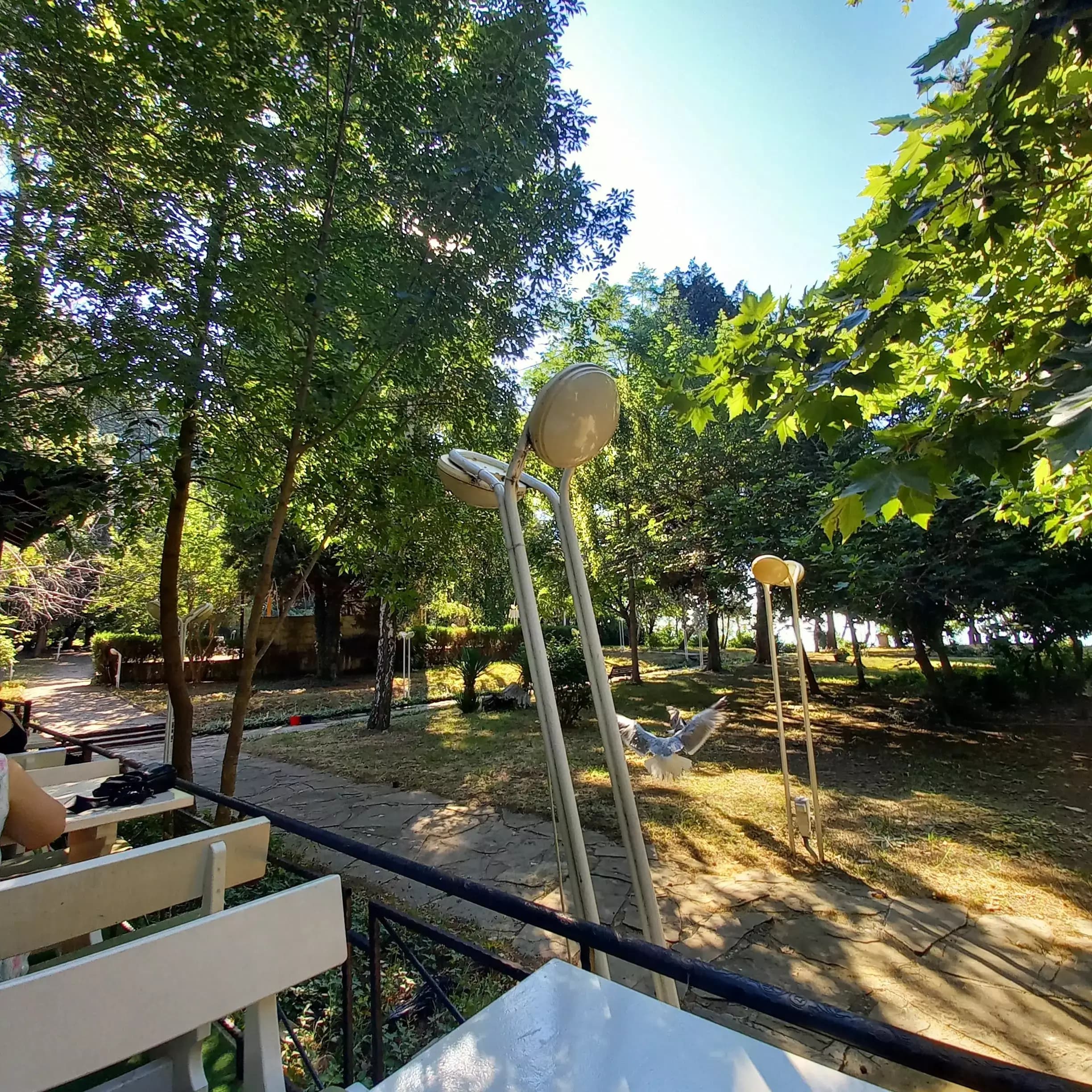 Оазис парк