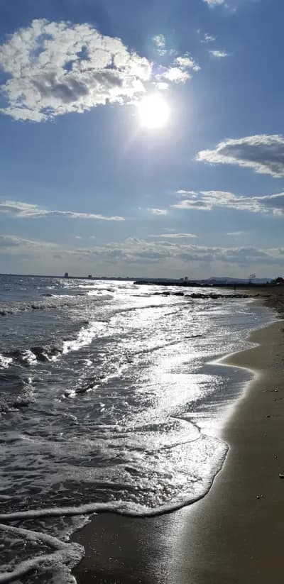 International Youth Camp Mistral