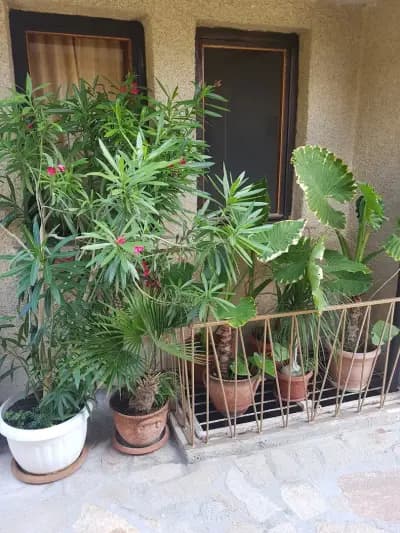 Guest House Olimpiya