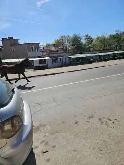 Пазар