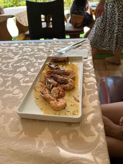 Bar and Dinner Jack Sparrow
