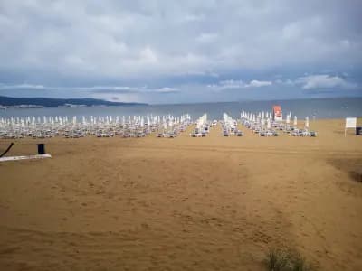 Burgas Transfer