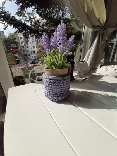 Бар Лейдибъгс