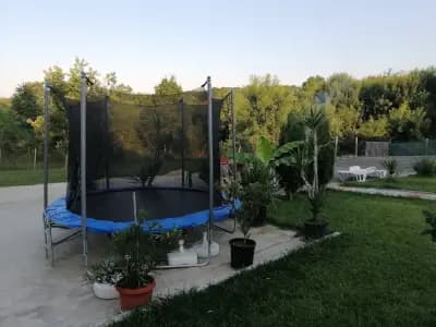 Вила Колеви